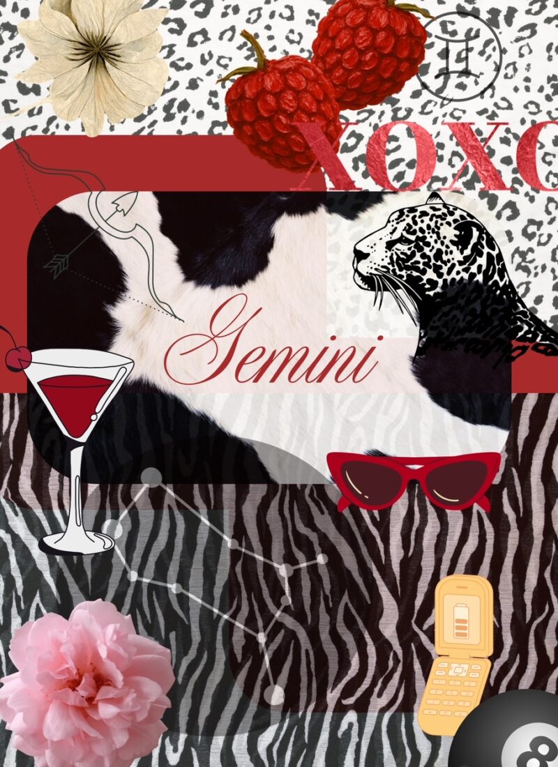 Gemini Gift Guide: Fun & Flirty Finds for the Playful, Curious & Quick-witted Friend